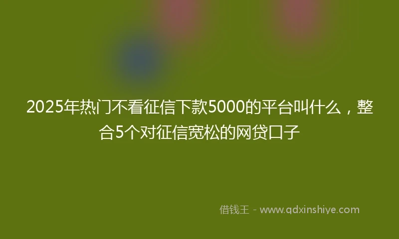 2025年热门不看征信下款5000的平台叫什么，整合5个对征信宽松的网贷口子