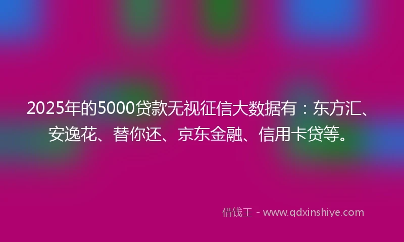 2025年的5000贷款无视征信大数据有:东方汇、安逸花、替你还、京东金融、信用卡贷等。