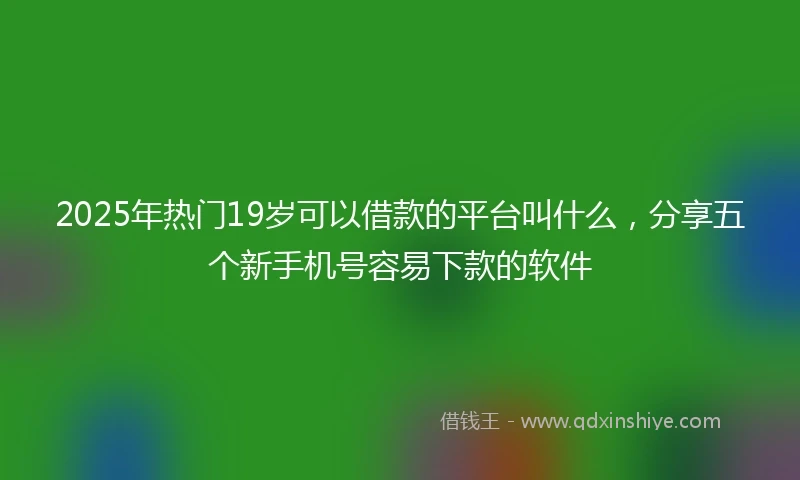 2025年热门19岁可以借款的平台叫什么，分享五个新手机号容易下款的软件