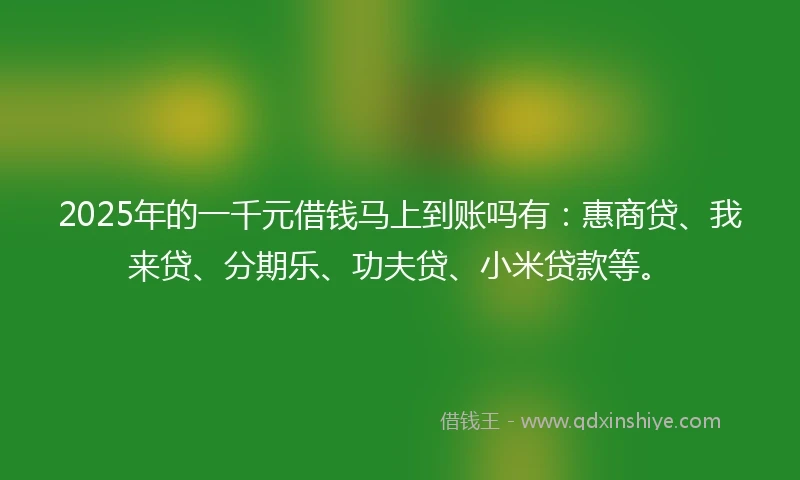 2025年的一千元借钱马上到账吗有：惠商贷、我来贷、分期乐、功夫贷、小米贷款等。