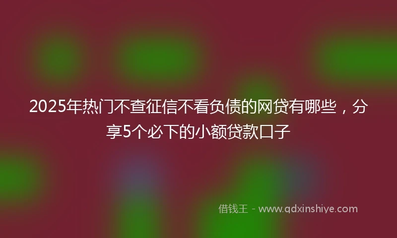 2025年热门不查征信不看负债的网贷有哪些,分享5个必下的小额贷款口子