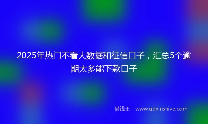 2025年热门不看大数据和征信口子，汇总5个逾期太多能下款口子