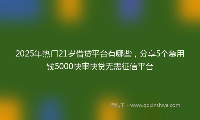 2025年热门21岁借贷平台有哪些,分享5个急用钱5000快审快贷无需征信平台