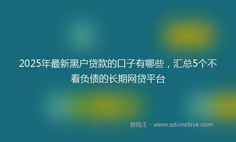 2025年最新黑户贷款的口子有哪些,汇总5个不看负债的长期网贷平台