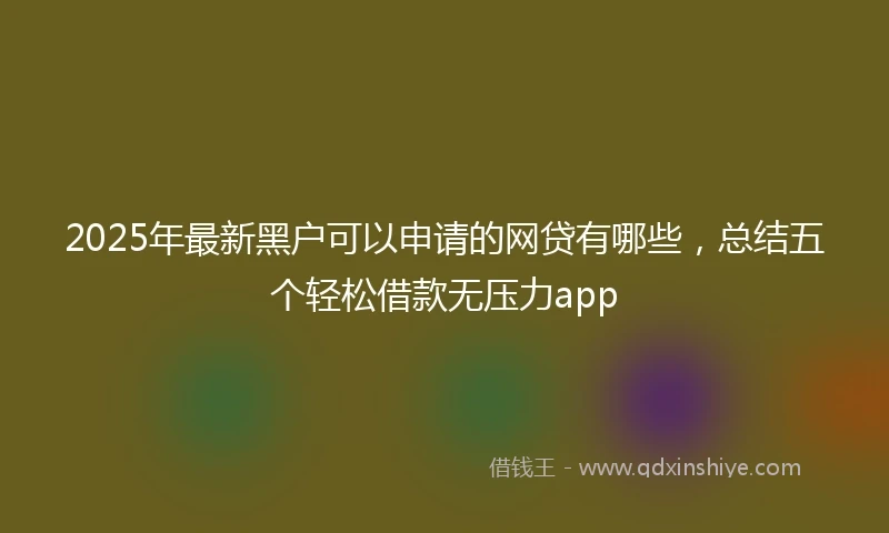 2025年最新黑户可以申请的网贷有哪些，总结五个轻松借款无压力app