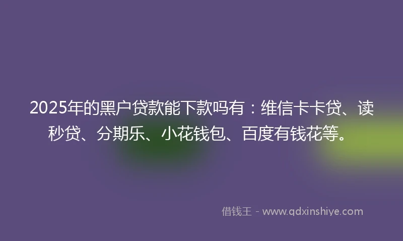 2025年的黑户贷款能下款吗有：维信卡卡贷、读秒贷、分期乐、小花钱包、百度有钱花等。