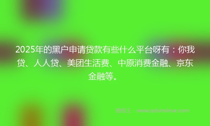 2025年的黑户申请贷款有些什么平台呀有：你我贷、人人贷、美团生活费、中原消费金融、京东金融等。