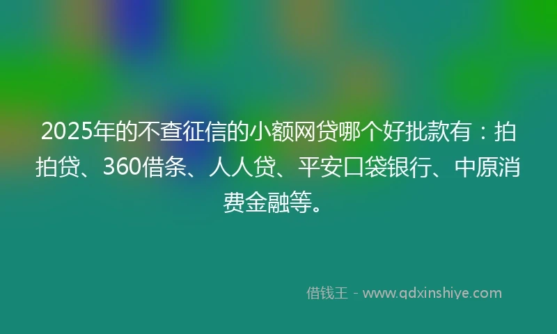 2025年的不查征信的小额网贷哪个好批款有：拍拍贷、360借条、人人贷、平安口袋银行、中原消费金融等。