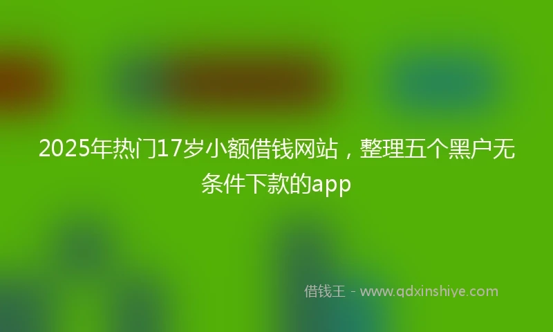 2025年热门17岁小额借钱网站，整理五个黑户无条件下款的app