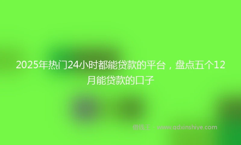 2025年热门24小时都能贷款的平台，盘点五个12月能贷款的口子