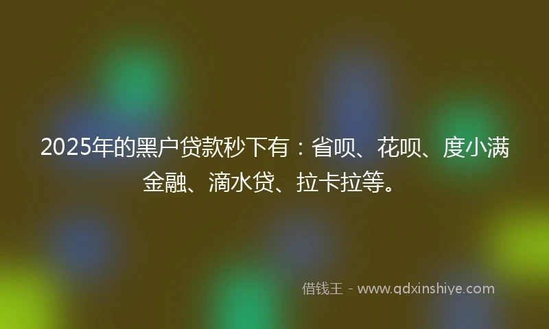 2025年的黑户贷款秒下有：省呗、花呗、度小满金融、滴水贷、拉卡拉等。