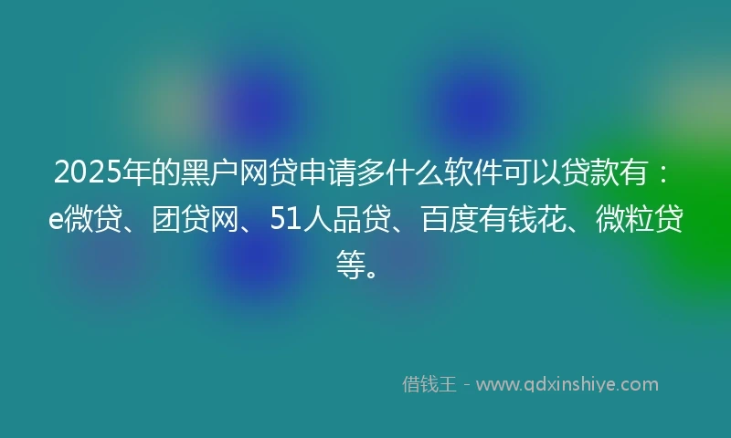 2025年的黑户网贷申请多什么软件可以贷款有：e微贷、团贷网、51人品贷、百度有钱花、微粒贷等。