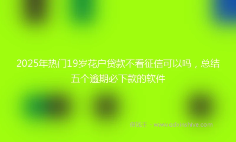 2025年热门19岁花户贷款不看征信可以吗，总结五个逾期必下款的软件