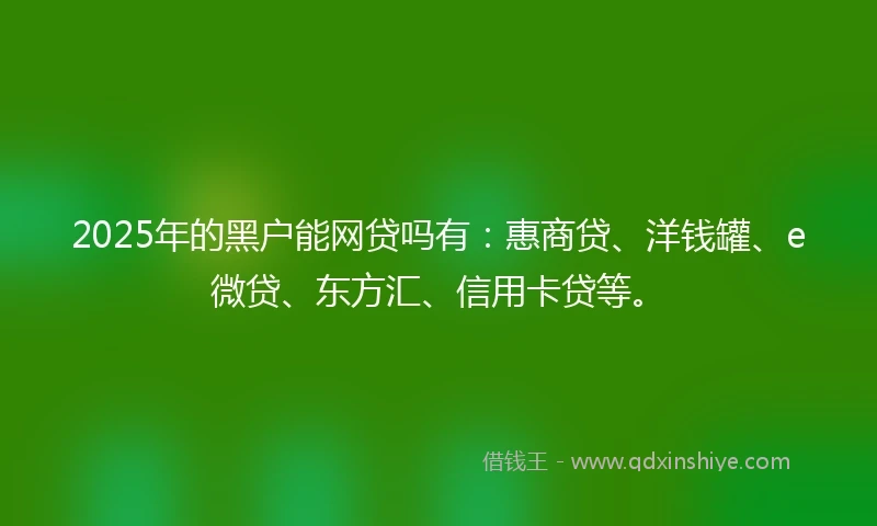 2025年的黑户能网贷吗有：惠商贷、洋钱罐、e微贷、东方汇、信用卡贷等。