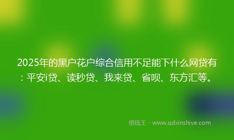 2025年的黑户花户综合信用不足能下什么网贷有：平安i贷、读秒贷、我来贷、省呗、东方汇等。