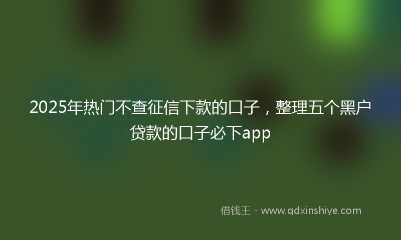 2025年热门不查征信下款的口子，整理五个黑户贷款的口子必下app