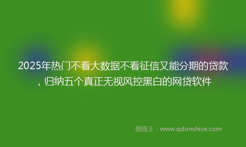 2025年热门不看大数据不看征信又能分期的贷款,归纳五个真正无视风控黑白的网贷软件