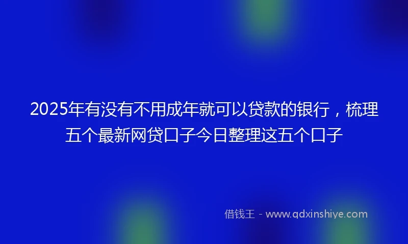 2025年有没有不用成年就可以贷款的银行，梳理五个最新网贷口子今日整理这五个口子