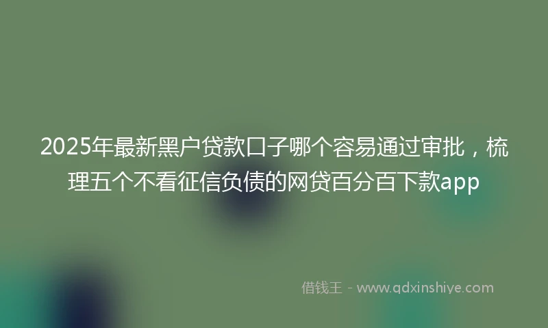 2025年最新黑户贷款口子哪个容易通过审批，梳理五个不看征信负债的网贷百分百下款app