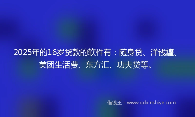 2025年的16岁货款的软件有：随身贷、洋钱罐、美团生活费、东方汇、功夫贷等。