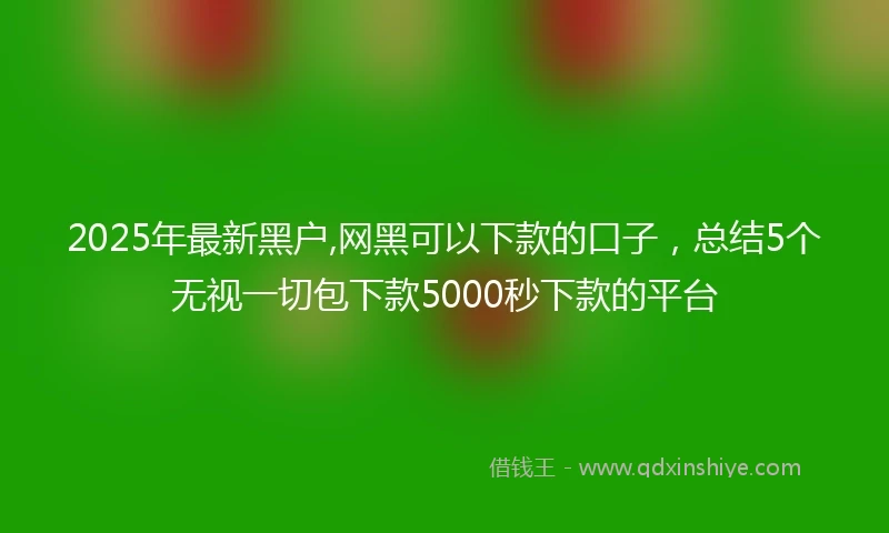 2025年最新黑户,网黑可以下款的口子,总结5个无视一切包下款5000秒下款的平台