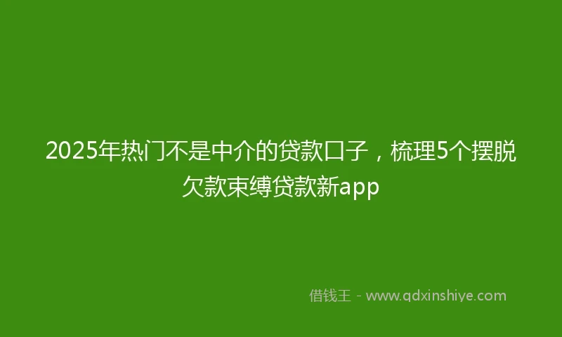 2025年热门不是中介的贷款口子，梳理5个摆脱欠款束缚贷款新app