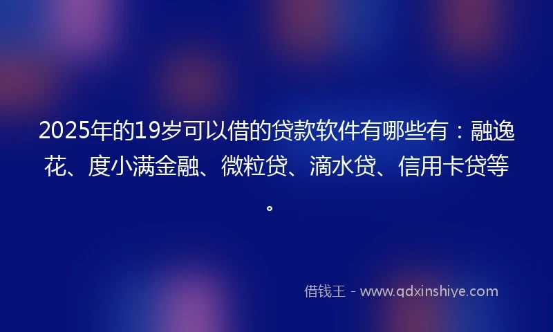 2025年的19岁可以借的贷款软件有哪些有：融逸花、度小满金融、微粒贷、滴水贷、信用卡贷等。