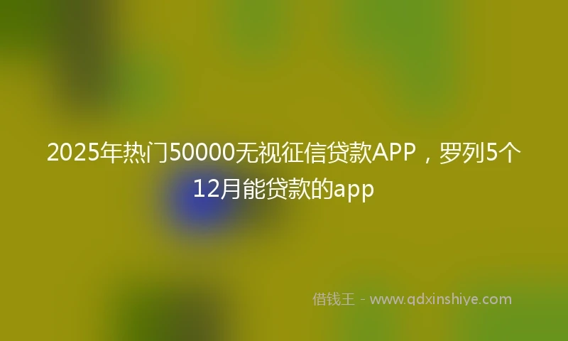 2025年热门50000无视征信贷款APP，罗列5个12月能贷款的app