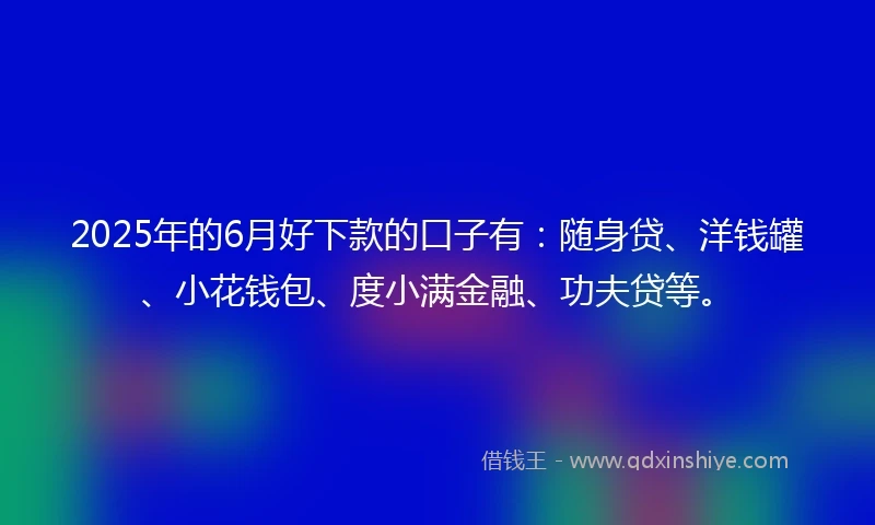 2025年的6月好下款的口子有：随身贷、洋钱罐、小花钱包、度小满金融、功夫贷等。