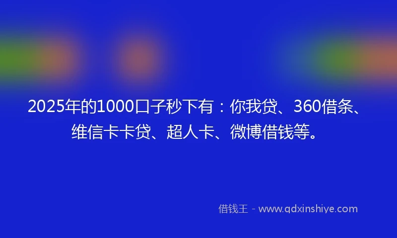 2025年的1000口子秒下有：你我贷、360借条、维信卡卡贷、超人卡、微博借钱等。