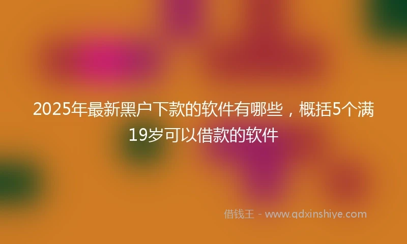 2025年最新黑户下款的软件有哪些，概括5个满19岁可以借款的软件