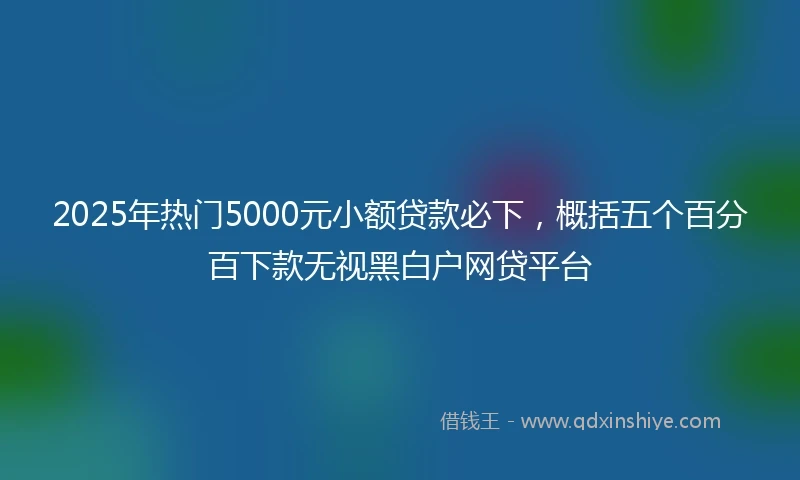 2025年热门5000元小额贷款必下，概括五个百分百下款无视黑白户网贷平台