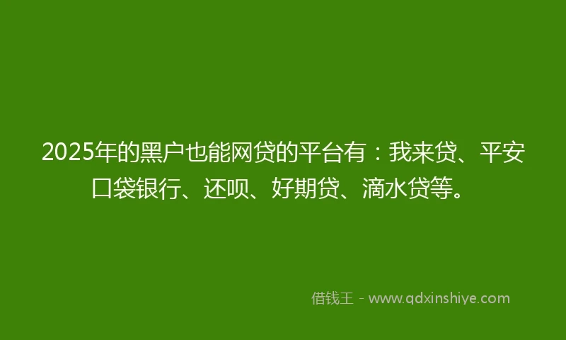 2025年的黑户也能网贷的平台有：我来贷、平安口袋银行、还呗、好期贷、滴水贷等。
