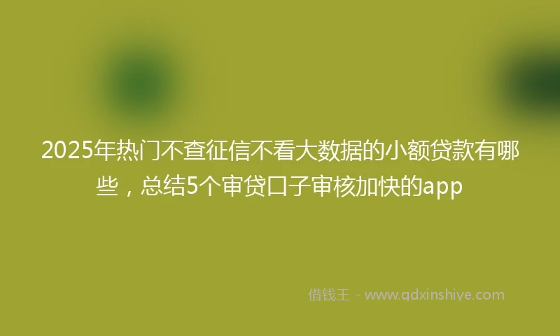 2025年热门不查征信不看大数据的小额贷款有哪些，总结5个审贷口子审核加快的app