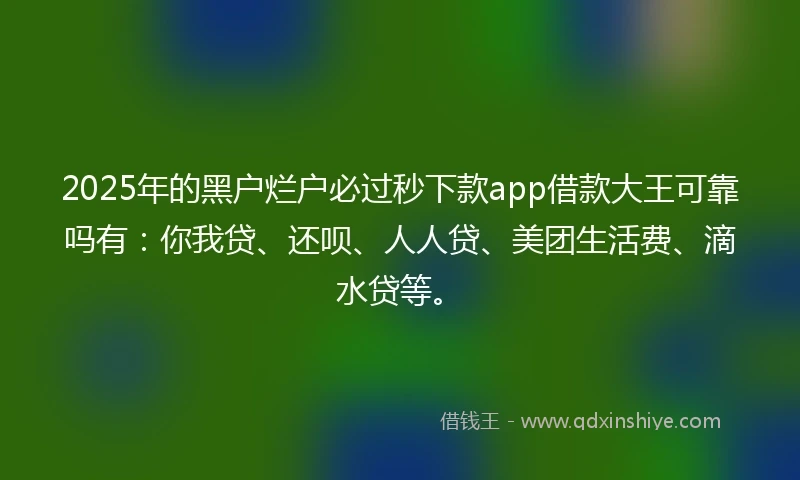 2025年的黑户烂户必过秒下款app借款大王可靠吗有：你我贷、还呗、人人贷、美团生活费、滴水贷等。
