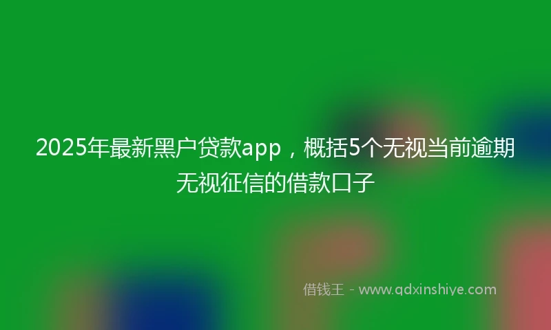 2025年最新黑户贷款app，概括5个无视当前逾期无视征信的借款口子
