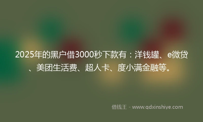 2025年的黑户借3000秒下款有：洋钱罐、e微贷、美团生活费、超人卡、度小满金融等。