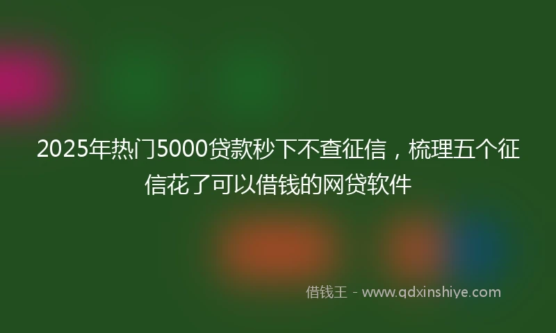 2025年热门5000贷款秒下不查征信，梳理五个征信花了可以借钱的网贷软件