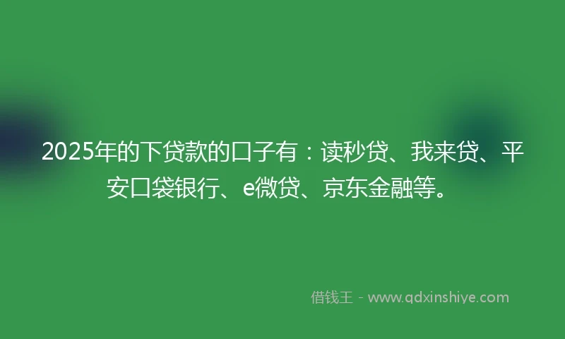 2025年的下贷款的口子有：读秒贷、我来贷、平安口袋银行、e微贷、京东金融等。