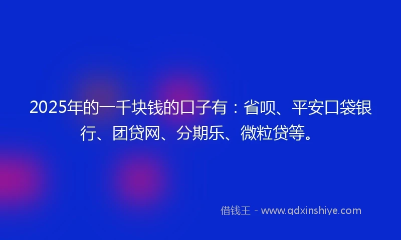 2025年的一千块钱的口子有：省呗、平安口袋银行、团贷网、分期乐、微粒贷等。