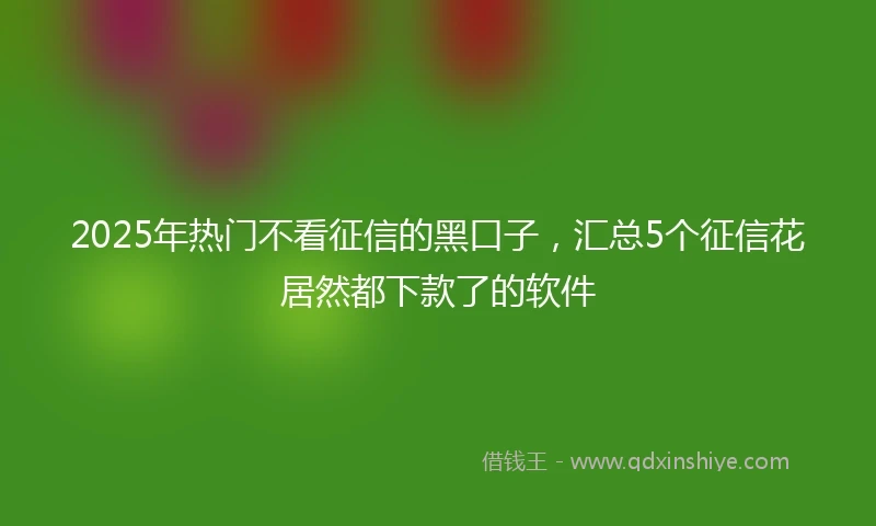 2025年热门不看征信的黑口子，汇总5个征信花居然都下款了的软件