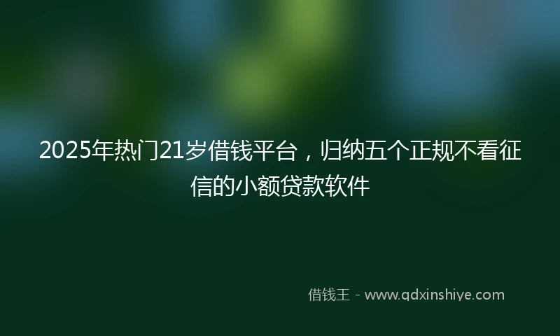 2025年热门21岁借钱平台,归纳五个正规不看征信的小额贷款软件