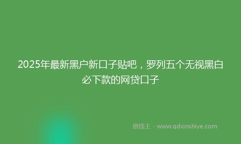 2025年最新黑户新口子贴吧，罗列五个无视黑白必下款的网贷口子
