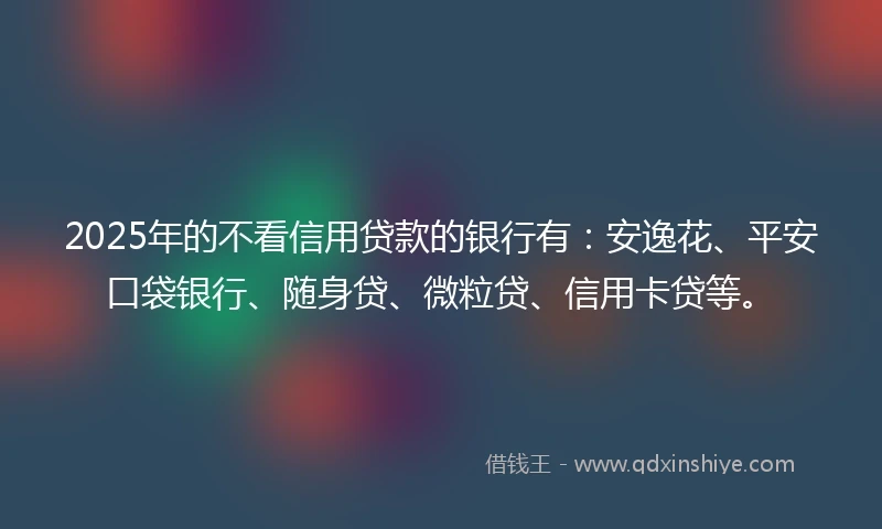 2025年的不看信用贷款的银行有：安逸花、平安口袋银行、随身贷、微粒贷、信用卡贷等。