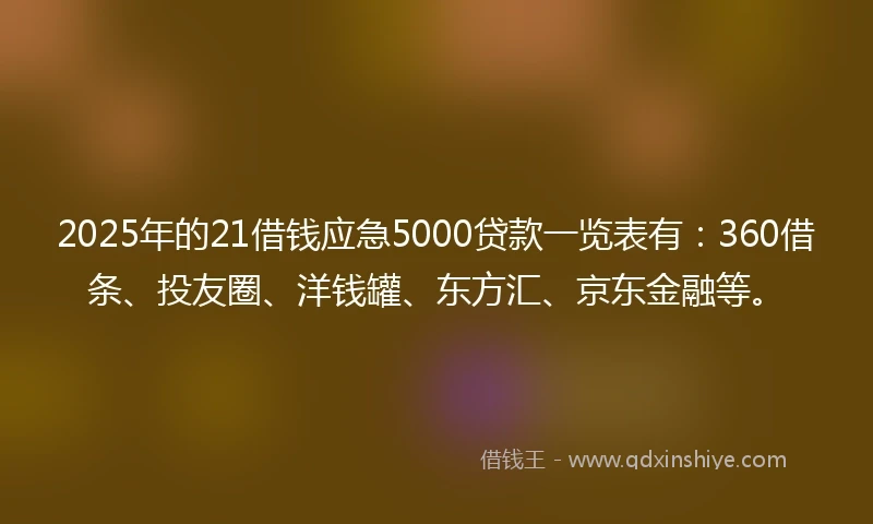 2025年的21借钱应急5000贷款一览表有：360借条、投友圈、洋钱罐、东方汇、京东金融等。