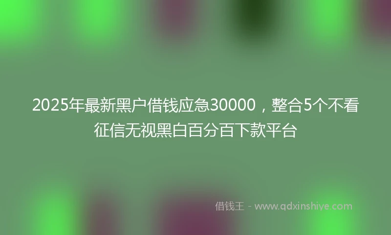 2025年最新黑户借钱应急30000,整合5个不看征信无视黑白百分百下款平台