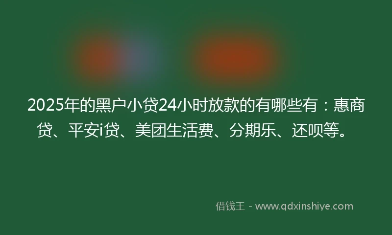 2025年的黑户小贷24小时放款的有哪些有：惠商贷、平安i贷、美团生活费、分期乐、还呗等。