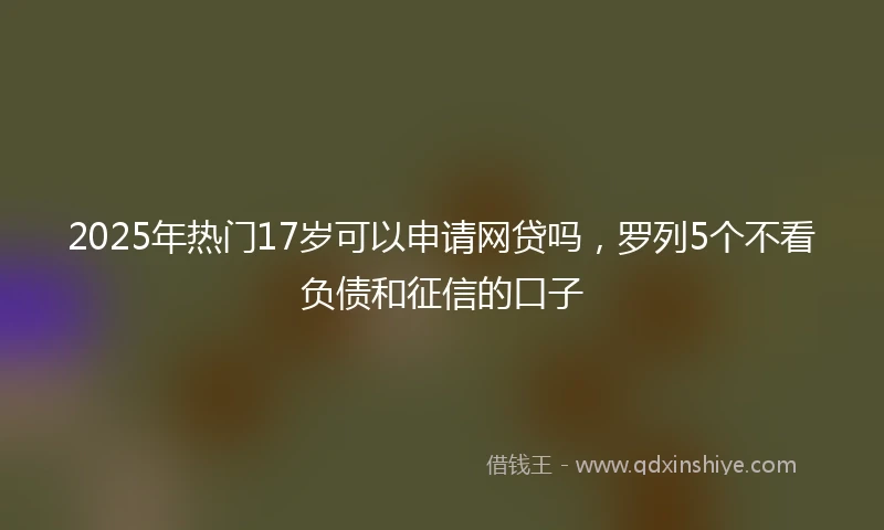 2025年热门17岁可以申请网贷吗，罗列5个不看负债和征信的口子