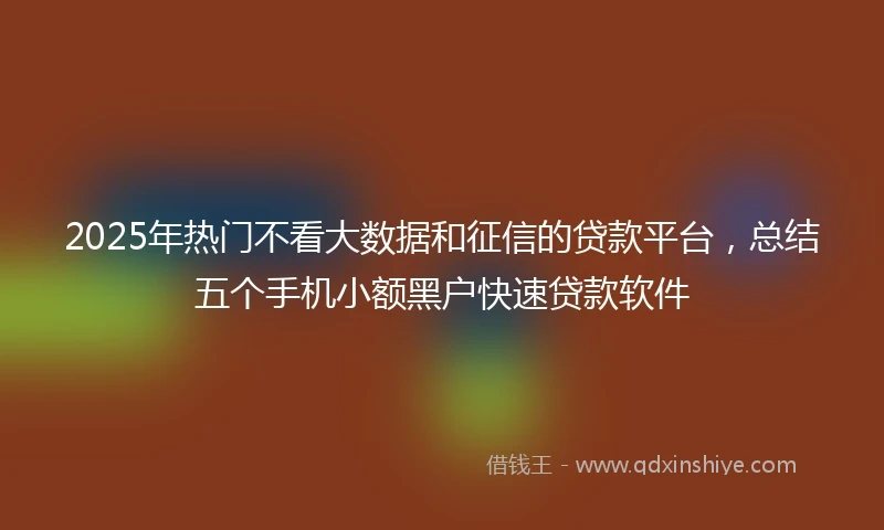 2025年热门不看大数据和征信的贷款平台,总结五个手机小额黑户快速贷款软件