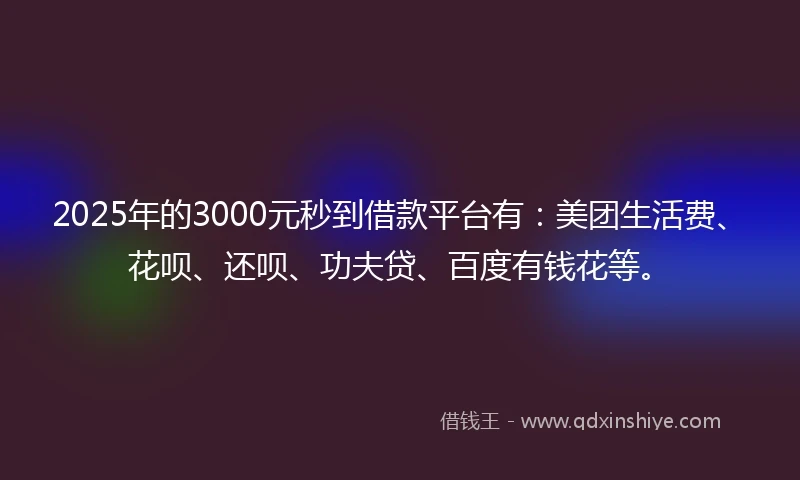 2025年的3000元秒到借款平台有:美团生活费、花呗、还呗、功夫贷、百度有钱花等。
